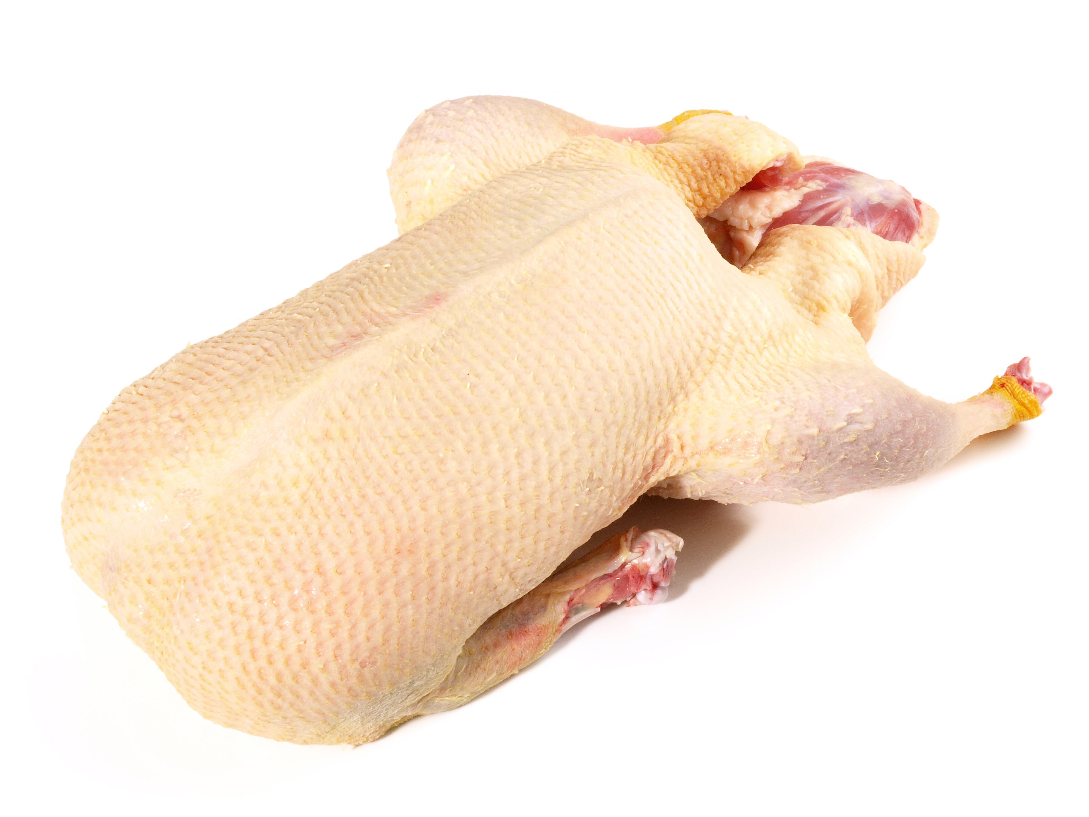 wie lange kann man ente im kühlschrank aufbewahren Ente
